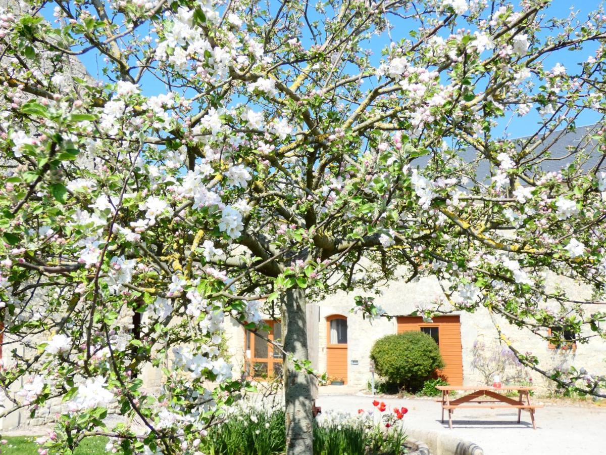 Hotel Restaurant Le Clos De L 'Ancien Pressoir Commes Εξωτερικό φωτογραφία